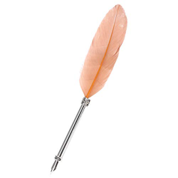 Gaeirt Pluma Estilográfica, Pluma de Inmersión de Acero Inoxidable Pluma Marrón para Oficina para Negocios en oferta