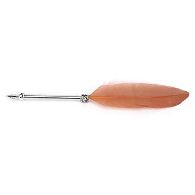 Gaeirt Pluma Estilográfica, Pluma de Inmersión de Pluma Cómoda de Acero Inoxidable para Oficina para Negocios