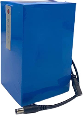 stdpcxz Batería De Iones De Litio De Polímero De Litio De 12 V CC 20 Ah 30 Ah Adecuada para Tiras LED De Cámara De 12 V, con Cargador E Indicador De P