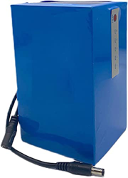 stdpcxz Batería DC12V 20Ah / 30Ah, Batería De Polímero De Iones De Litio Adecuada para Tiras LED De Cámara De 12V, con Cargador E Indicador De Aliment precio