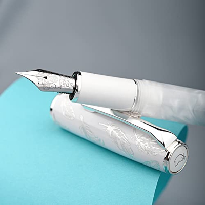 Hongdian N8 - Pluma estilográfica de resina blanca, punta media con convertidor y caja de metal