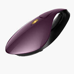 Purple Garlic Steamer 3 Hole Hot 7-Hole Steam Fabric Steamer Flat/Hanging Hot/Non-Slip Handle Design with 180ml Water Tank and Cleaning Brush for Trav en oferta