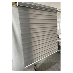 LIUYE Xunxue Color Zebra Roller Day Night Blinds Tombos Top Blindes Ventana Cebra persianas (Color : A04, Size : Customized) precio