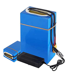 FREEDOH Batería Litio para Bicicleta Eléctrica De 60V 20,8Ah 16S8P Batería De Litio para Bicicleta Eléctrica con Cargador De 67,2V para Vehículos Todo características