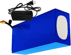 stdpcxz Batería Iones Litio 48V 15600Mah Ebike Paquete Baterías 15.6Ah para Motor 250W 350W 450W 500W 750W 1000W con Cargador + BMS 48V 15.6Ah,XT60 en oferta