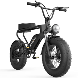 Bicicleta Eléctrica 20" Fatbike Bicicleta Montaña Plegable Ebike, Alta Velocidad Motor,48V/20Ah Batería Extraíble,Pedal Assist,Alcance 40-70KM,E-MTB A características