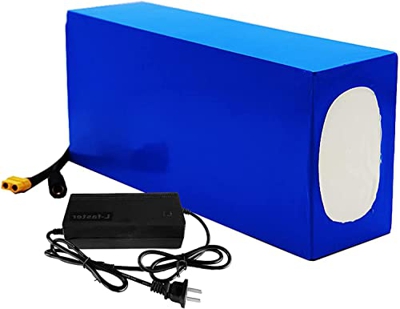 stdpcxz Batería para Bicicleta Eléctrica De 48V 15.6Ah con Cargador + BMS para 1000W / 750W / 500W/ 450W / 350W / 250W Batería De Iones De Litio 48V 1