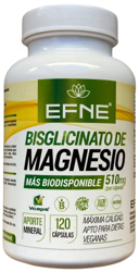 Bisglicinato de Magnesio 100% + Citrato de Magnesio + Vitamina B6 | 120 Cápsulas | Vegano | Reduce Estrés Fatiga | 510 mg Magnesio por cápsula | Alta  precio
