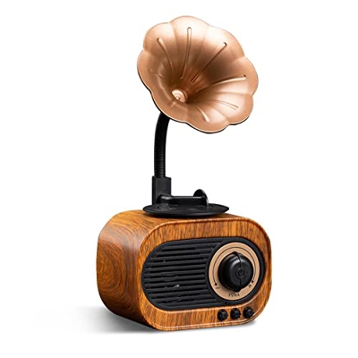 Clearful Altavoz portátil Retro | Exquisito Altavoz Inalámbrico Vintage Radio | Caja de joyería Decoración del hogar Día de la Madre Regalo de San Val