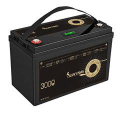 TGHY 170Ah 12V Batería LiFePO4 Bateria Litio Fosfato de Hierro y Litio Energía de Emergencia con más de 3000+ de Ciclo Profundo y BMS para Solar, Camp precio