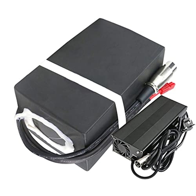 FREEDOH Paquete Batería Litio para Bicicleta Eléctrica Batería Iones Litio De 48V 20.8Ah con Cargador De 54.6V 2A para Kits De Motor De Bicicletas De 