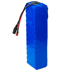 Batería De Litio Ebike 48V 7.8Ah Paquete Batería Impermeable Para Bicicleta Eléctrica Iones Litio Para Kit Conversión Motor De 50W-500W (con Cargador  en oferta