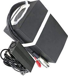 stdpcxz Batería Ebike 48V Batería De Litio 20.8AH Batería De Bicicleta Eléctrica 20800Mah Paquete De Batería De Bicicleta para Motor De 200W 350W 500W en oferta
