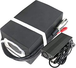stdpcxz Batería Bicicleta Eléctrica 48V 20.8Ah Batería De Iones De Litio, Placa De Protección BMS, Bicicleta Eléctrica Adecuada para 200W - 1000W (con precio