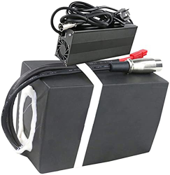 stdpcxz Batería De Bicicleta Eléctrica 48V 20.8Ah Batería De Litio 1000W Batería De Alta Potencia E-Bike Bicicleta Eléctrica BMS + Cargador 48V 20.8Ah en oferta