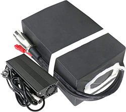 stdpcxz Batería Litio Bicicleta Eléctrica 48V Batería 20.8Ah para Motocicleta Eléctrica Triciclo Eléctrico Scooter Eléctrico con Cargador, 200W - 1000 precio