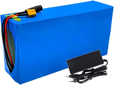 stdpcxz Paquete De Batería De Litio 48V 24Ah 200W-1200W para Scooter Eléctrico Ebike Power Battery con BMS Y Cargador 48V 24Ah,T Plug