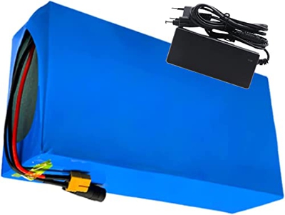 stdpcxz Bateria Bicicleta Electrica 48V 24AH con Cargador, Ebike Battery para Motor 200W-1200W 48V 24Ah,T Plug