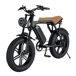 Bicicleta Eléctrica Montaña, 20"E Bike Trekking E-Bike con Batería Iones Litio Extraíble para Los Senderos La Selva Nieve Beac (Color : Black, Size :  características