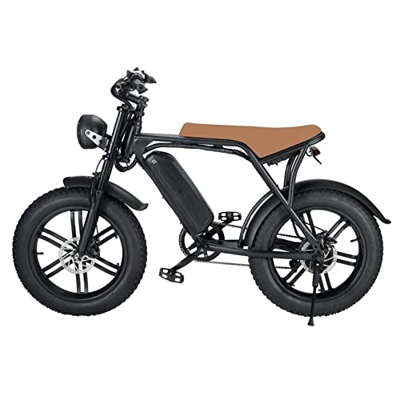 Bicicleta Eléctrica Montaña 20 Pulgadas, Bicicleta Eléctrica Llanta Gorda Todo Terreno con Batería Iones Litio Extraíble para Senderos La Selva Nieve 