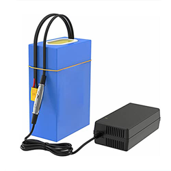 FREEDOH Batería De Litio 48V 20Ah Batería De Iones De Litio para Bicicleta Eléctrica Paquete De Batería Impermeable para Bicicleta Eléctrica (con Carg en oferta