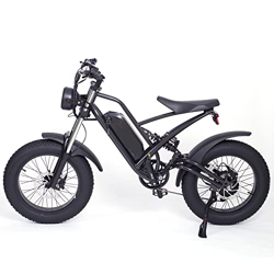 YC-UM-01 Bicicleta Eléctrica de Montaña 20X4.0 Neumático Gordo Bicicleta Nieve 48V 22.5Ah Batería de Gran Capacidad Amortiguador Dual (Black) precio