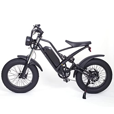 YC-UM-01 Bicicleta Eléctrica de Montaña 20X4.0 Neumático Gordo Bicicleta Nieve 48V 22.5Ah Batería de Gran Capacidad Amortiguador Dual (Black)