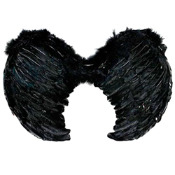 Tradineur - Alas con plumas y tirantes elásticos, complemento para disfraz de halloween, carnaval, cosplay, fiestas, navidad, Color Negro (45 x 35 cm) en oferta
