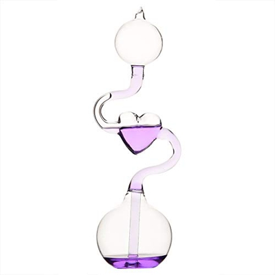 Caldera de Mano de Vidrio, Termómetro único, Juguete, Educación Científica, Juguetes, Caldera de Mano, Decoración del Hogar, Regalo de Adorno