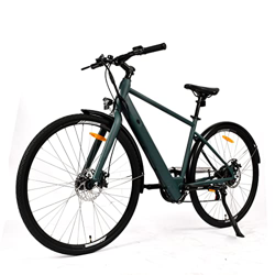 Yesbon Bicicleta Eléctrica de Ciudad, Bicicleta Eléctrica de Trekking con Batería de Ion-Litio Extraíble de 36V 10Ah, Pantalla LCD, Doble Freno de Dis características