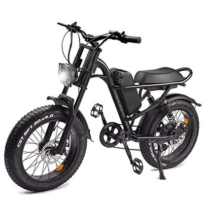 Bicicleta eléctrica Yuirshion 20 x 4 Fat Tire Bicicleta eléctrica, 15,5 MPH Snow Beach Mountain E-Bike con 48 V, 15 Ah batería sólida extraíble, Shima
