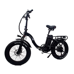 IOPY Bicicleta Eléctrica para Adultos 24'' 48V Batería Litio Extraíble Ebike Llanta Gorda para Senderos En La Selva Nieve Beac (Color : Black, Size :  precio