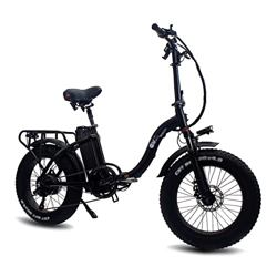 IOPY Bicicleta Eléctrica De 24 Pulgadas Fat Tire Motor 48V Batería De Litio Extraíble con Pedales para Jungle Trails Snow Beac (Color : Black, Size :  características