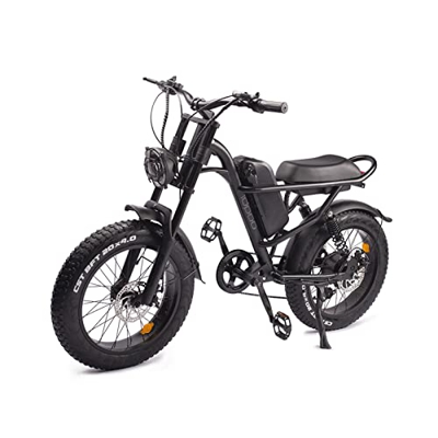 Bicicleta Electrica, 20" Bici Electrica con Montaña Fat Tire, Batería de Litio Extraíble de 48V 15.6Ah, Doble Absorción de Impactos, Shimano de 7 Velo