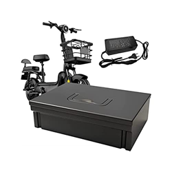 TGHY Pedelec Batería 48V Ebike Batería de Iones de Litio Reemplazo batería de Bicicleta eléctrica 48V para Bicicletas eléctricas Motor 350W-1100W Moto características