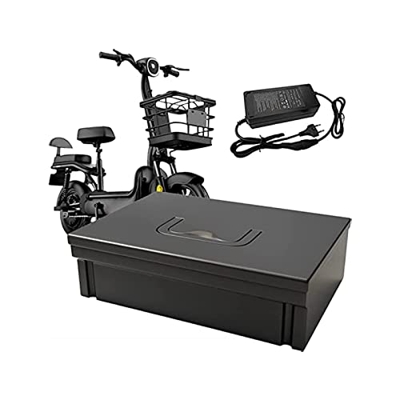 TGHY Pedelec Batería 48V Ebike Batería de Iones de Litio Reemplazo batería de Bicicleta eléctrica 48V para Bicicletas eléctricas Motor 350W-1100W Moto