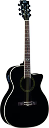 Eko Guitars NXT A100CE SEE THROUGH BLACK, Guitarra acústica superior de abeto, bandas y fondo de caoba, teclado de south American Roupanà, Dreadnought características
