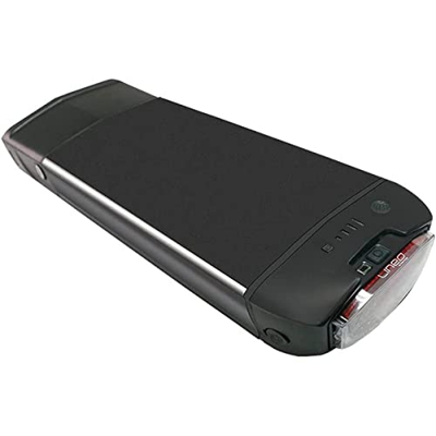 TGHY Ebike Batería Bicicleta eléctrica 36V Batería Bicicleta de montaña 48V Paquete batería de Iones de Litio Batería portaequipajes con Cargador 650W