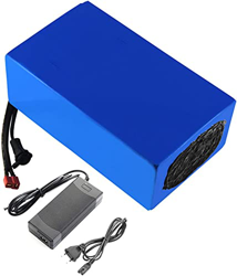 stdpcxz Batería para Bicicleta Eléctrica 36V 18650 10S6P para Motor De 200W 350W 450W 500W 750W, Batería Ebike 20Ah 36V 20AH,XT60 precio