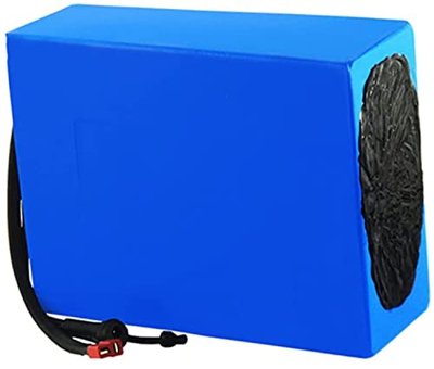 stdpcxz Batería Bicicleta Eléctrica 36V Paquete Batería Iones Litio 25Ah Batería Bicicleta Eléctrica para Kits De Motor De 200W 350W 500W 700W con Car