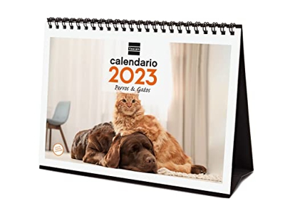 Finocam - Calendario 2023 Imágenes de Sobremesa para Escribir Enero 2023 - Diciembre 2023 (12 meses) Perros y gatos Español