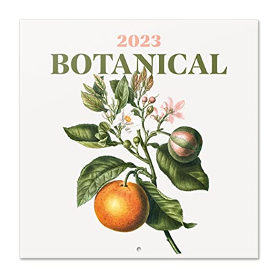 Calendario Botanical 2023 - Calendario 2023 pared con certificado FSC - Calendario mensual 30x30cm