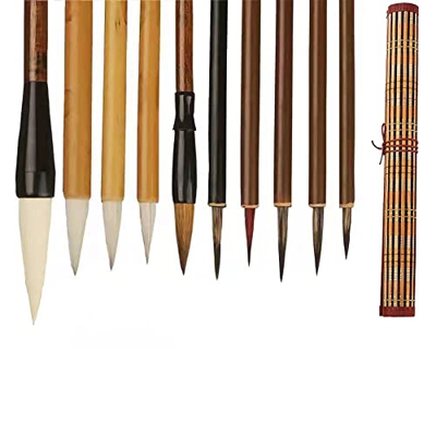 AOMAYLL Pinceles chinos profesionales de caligrafía, pincel para escribir, dibujar, un juego de 10 pinceles (con bolsa para pinceles)