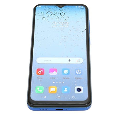 MXGZ Teléfono Rino 8 Pro, Frente 5MP Trasero 13MP 6.5 Pulgadas Smartphone MTK6597 10 Core CPU de por Vida (Azul)