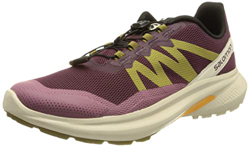 SALOMON Shoes HYPULSE W, Zapatillas Mujer, Grape Wine/Rainy Day/Green Moss, 43 1/3 EU en oferta