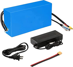 stdpcxz 48V 20AH Batería De Bicicleta Eléctrica, Batería De Litio con Cargador Ebike Batería, para Motor De 1000W-100W (48V 20AH (100W-1000W)) 48V 20A precio