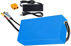 stdpcxz Batería Bicicleta Eléctrica 48V 20AH, E-Bike Batería De Lones De Litio con Cargador Placa De Protección BMS, para 1000W - 100W Plegable E-Bike características