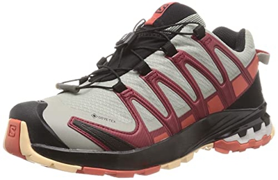 SALOMON Shoes XA Pro 3D v8 GTX W, Zapatillas de Running Mujer, Wrought Iron/Burnt Sienna/Biking Re, 40 EU