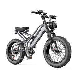 ALFUSA Bicicleta eléctrica de 20 Pulgadas, vehículo eléctrico Snow Beach, vehículo eléctrico por energía de 48 V, Scooter de cercanías para Trabajar ( en oferta