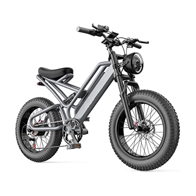 ALFUSA Bicicleta eléctrica de 20 Pulgadas, vehículo eléctrico Snow Beach, vehículo eléctrico por energía de 48 V, Scooter de cercanías para Trabajar (